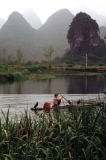 Pesca col  cormorano Guilin 2001