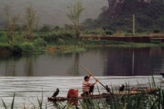 Pesca col  cormorano Guilin 2001